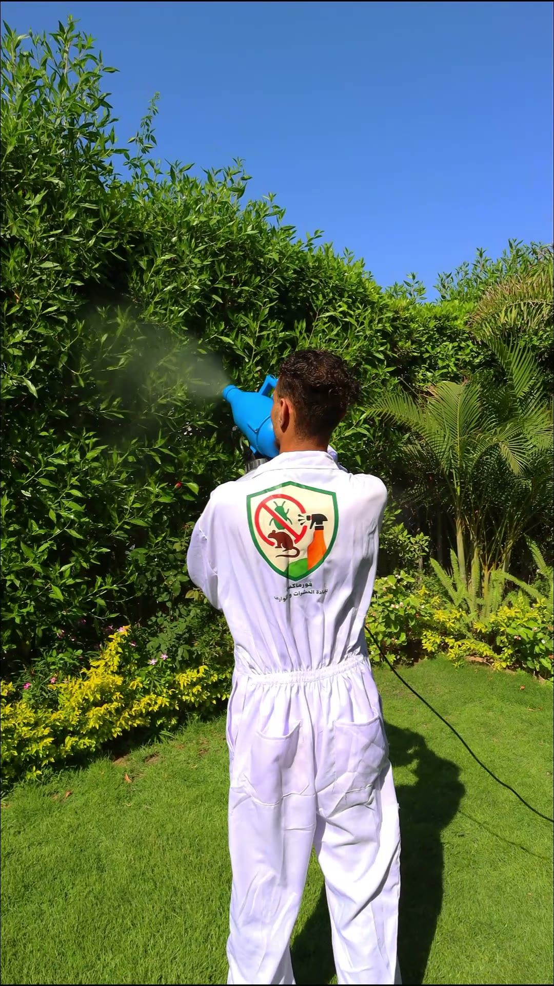 Formax in a villa garden