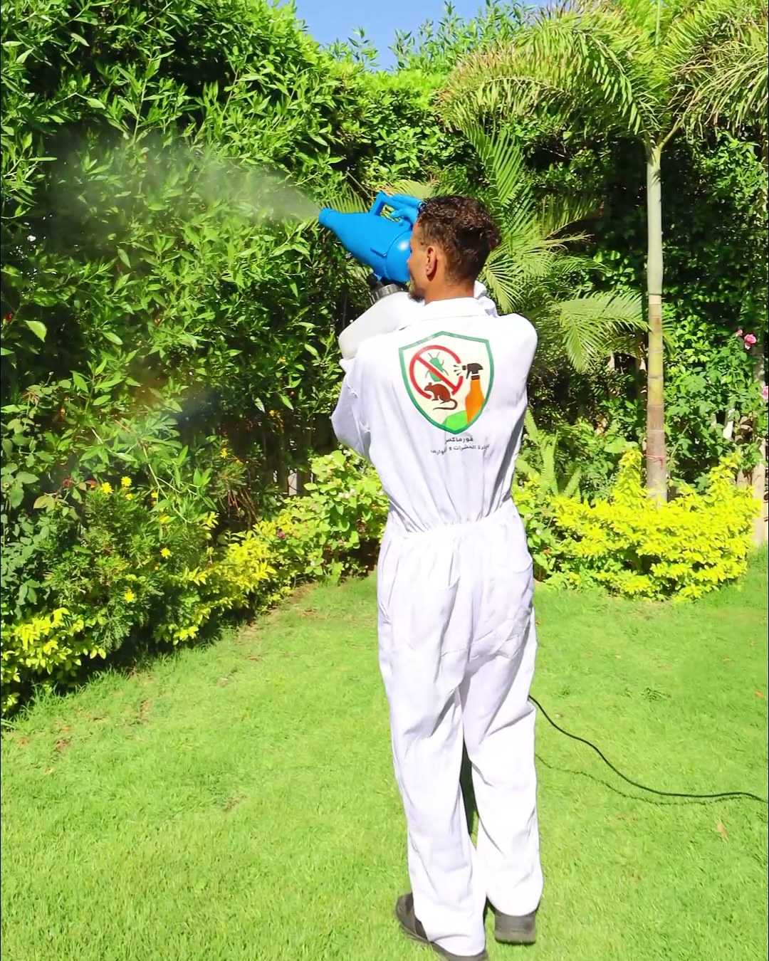 Spraying the trees in the garden.